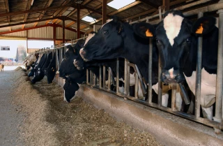 Plan de Résilience : comment obtenir les aides ? 