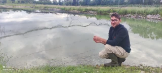 La préfecture avalise (enfin) l’élevage de crevettes d’eau douce