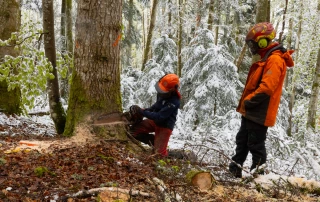 La formation bûcheronnage-sylviculture recrute 
