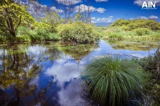 Au fil de l’eau, la nature se raconte