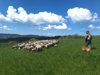 Bergerie « Au rythme du troupeau » : le bonheur est dans l’alpage