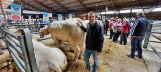 Concours du Bœuf de Pâques : record d’affluence et des prix en hausse