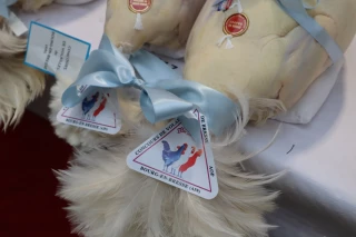  Le CIVB dévoile l’affiche et les dates des Glorieuses 2023 