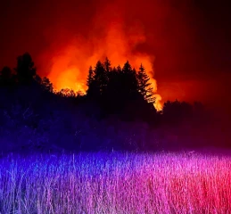 Risque sévère d'incendies ce week-end, plusieurs massifs restreints d'accès