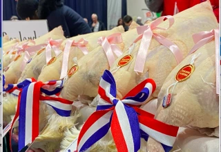 Montrevel-en-Bresse : retrouvez le palmarès complet