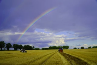 Les concours de labour font vibrer les campagnes de l'Ain