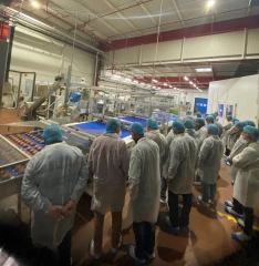  « Moelleux et responsable » : Harrys mise sur sa filière blé français