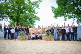 Comice de Vouvray : « la Simmental s’implante dans le département ! »