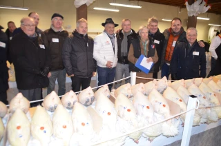 Réveiller la « belle endormie »