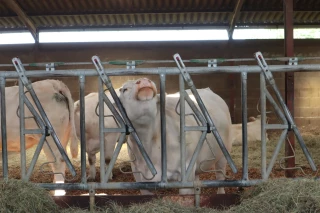 MHE : les autorités suisses font marche arrière