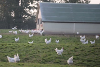 La plateforme France AgriMer ouverte 