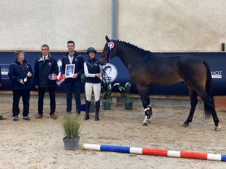 Chazey-sur-Ain : Qualificatives étalons des deux et trois ans Selle français