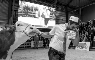 L’Ain remporte le championnat de la Mamelle senior