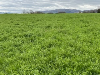 Chez Laurent Varoux, le couvert est mis toute l'année
