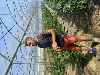 Prim’Holstein : l’Ain, terre de Grandes laitières