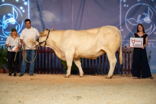 « On voit que l’Ain est une terre d’élevage »