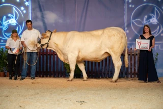 « On voit que l’Ain est une terre d’élevage »