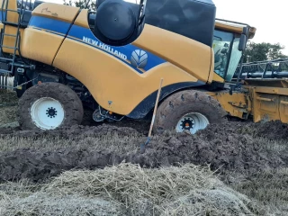 La date limite d'implantation de cultures dérobées SIE repoussée 