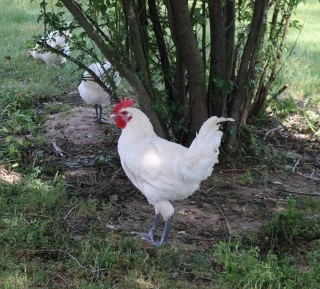 Maintenir les outils et les hommes, et sécuriser la production