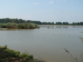 La Route de la Dombes, un acteur majeur du tourisme aindinois
