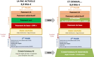 Ce qu’il faut savoir sur la Pac 2023