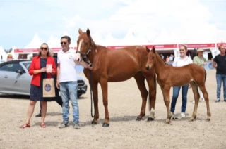 Cornet Obolensky et Baloubet du Rouet plébiscités au Top foal