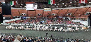 Immersion au cœur de l’agriculture américaine 