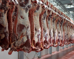  Projet d’abattoir en Haute-Savoie : il faut sauver l’outil de Bellegarde 