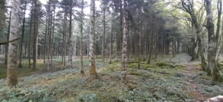  Prévenir le risque incendie : bientôt de nouvelles obligations pour les propriétaires forestiers 