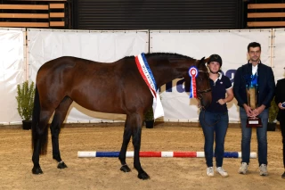 L’Ain au plus près des étoiles à Équita Lyon 