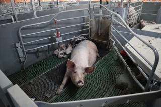 « La crise nous a déjà coûté 450 000 € »