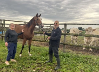 Élevage de Fondcombe, ou la recherche de l’excellence 
