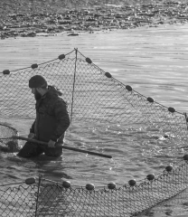 Travailler en agriculture, un métier riche et formateur