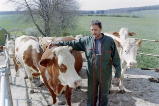 Défaillances d’entreprise : l’agriculture à rebours du reste de l’économie