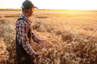 Création de GFA d’investissement