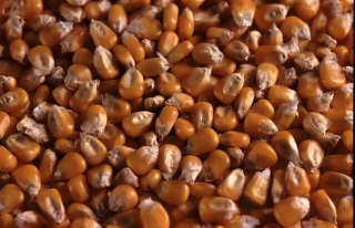 L’AGPM appelle à un sursaut