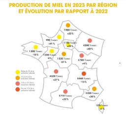 Miel : une production 2023 en hausse de 10 % 