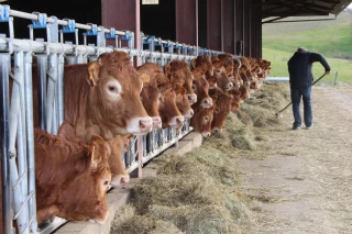 Le plan de la FNB face à la baisse des aides