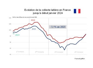 Une production laitière peu dynamique