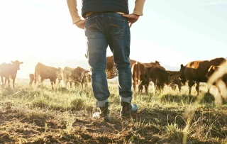 Marc Fesneau répartit 15 M€ de prise en charge de cotisations