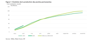 Prairies : en avril, la pousse d’herbe est en avance