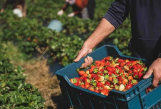 Satisfaction de la FNSEA