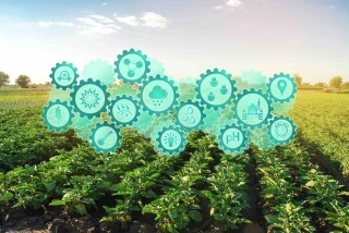 L’agriculture est le secteur idéal pour l’intelligence artificielle