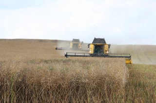 Les prix des intrants en hausse en octobre 2024