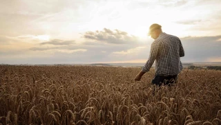 Le vague à l’âme des agriculteurs
