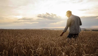 Le vague à l’âme des agriculteurs