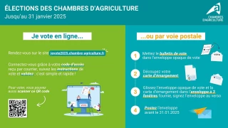 Comment voter aux élections des chambres d’agriculture 