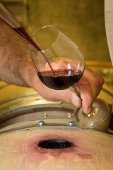 Une feuille de route pour devenir le leader européen  