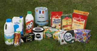 Sodiaal prévoit d’augmenter son prix du lait en 2025 