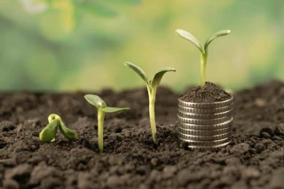 Nouvelle baisse du revenu agricole en 2024